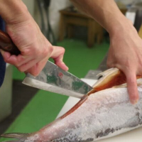新潟名物の「本造り銀鮭」と「村上塩引き鮭」は何が違う